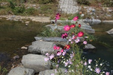 징금다리. - 추천갤러리 출사코리아