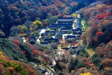 만추의 백양사 - 추천갤러리 출사코리아