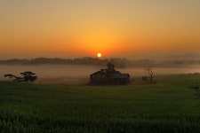 안성목장 - 추천갤러리 출사코리아