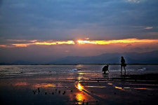 여기에 흔적을 남기고... - 추천갤러리 출사코리아