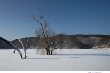 한계리 저수지 - 추천갤러리 출사코리아