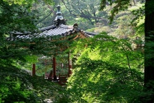 후원 옥류정 - 추천갤러리 출사코리아