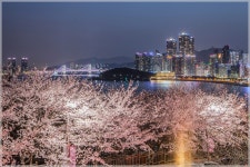 달맞이길 - 추천갤러리 출사코리아