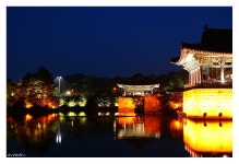 경주 안압지 - 추천갤러리 출사코리아