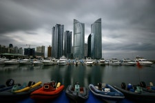 비오는 요트경기장 - 추천갤러리 출사코리아