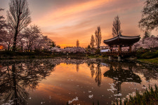 보문정의 노을 - 추천갤러리 출사코리아