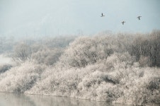 소양강 - 추천갤러리 출사코리아