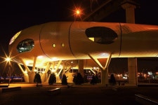 마치~!   우주선인냥... - 추천갤러리 출사코리아