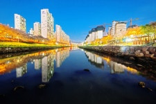 온천천의 야경 - 추천갤러리 출사코리아