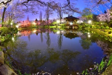 보문정 - 추천갤러리 출사코리아