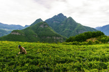 청량산 - 추천갤러리 출사코리아