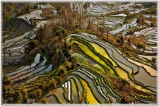 원양제전 - 추천갤러리 출사코리아