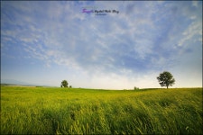 5월의 안성목장 - 추천갤러리 출사코리아