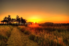 소래습지생태공원 일출 - 추천갤러리 출사코리아