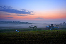안성목장 - 추천갤러리 출사코리아