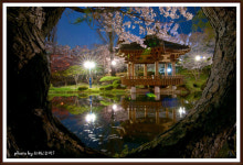 보문정 야경 - 추천갤러리 출사코리아