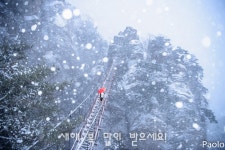 빨간우산 - 추천갤러리 출사코리아