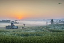 목장의 새벽을 날다. - 추천갤러리 출사코리아