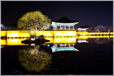 안압지의 봄 소식 - 추천갤러리 출사코리아