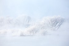 소양 3교 - 추천갤러리 출사코리아