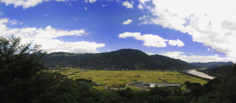 평사리의 가을 - 추천갤러리 출사코리아