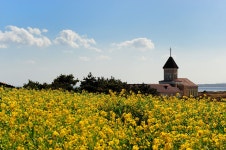 내 마음의 풍경 - 추천갤러리 출사코리아