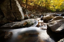 광양 진상 백학동 - 추천갤러리 출사코리아