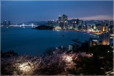 달맞이길 - 추천갤러리 출사코리아