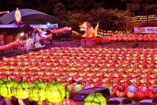 동대사 연등 - 추천갤러리 출사코리아