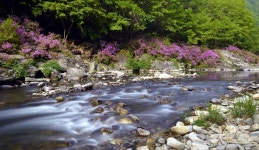 명지계곡 - 추천갤러리 출사코리아