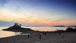 솔섬풍경 - 추천갤러리 출사코리아