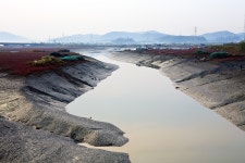 소래 습지 생태 공원 - 추천갤러리 출사코리아