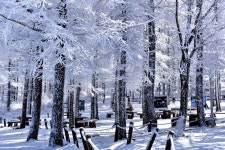 만항재 상고대 - 추천갤러리 출사코리아