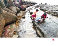 유년의 바다 - 추천갤러리 출사코리아