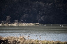 경안천 풍경 - 추천갤러리 출사코리아