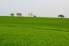 농장을 찾아.... - 추천갤러리 출사코리아