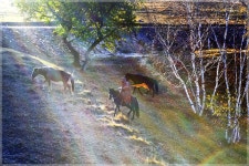 무지개 빛 - 추천갤러리 출사코리아