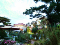 숲속 정원 - 추천갤러리 출사코리아