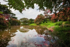 명옥헌에서 - 추천갤러리 출사코리아