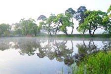 대정제 - 추천갤러리 출사코리아