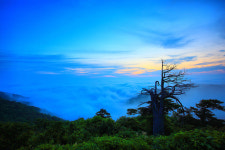 함백산의 여명 - 추천갤러리 출사코리아