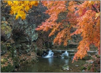 강천산의 추색 - 추천갤러리 출사코리아