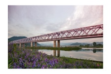 낙동강변에서... - 추천갤러리 출사코리아