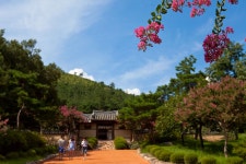 베롱이 핀 유적지 - 작품갤러리 출사코리아