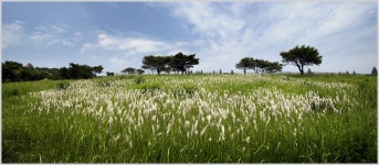 오케이목장 - 작품갤러리 출사코리아