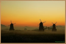 소래생태공원의 아침 - 작품갤러리 출사코리아