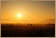 소래생태공원의 아침 - 작품갤러리 출사코리아