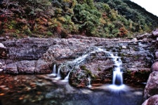 치산계곡 - 작품갤러리 출사코리아