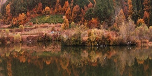만추의 반영 - 작품갤러리 출사코리아
