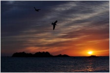 비상 - 작품갤러리 출사코리아